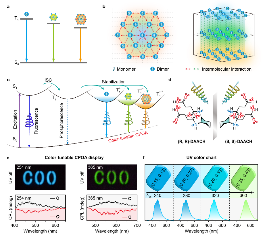 2D9A4E